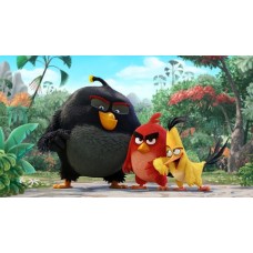 A4ABM2 Vafa Angry birds 30x20cm